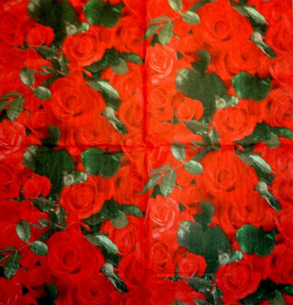 503 Rosen - 3-lagig